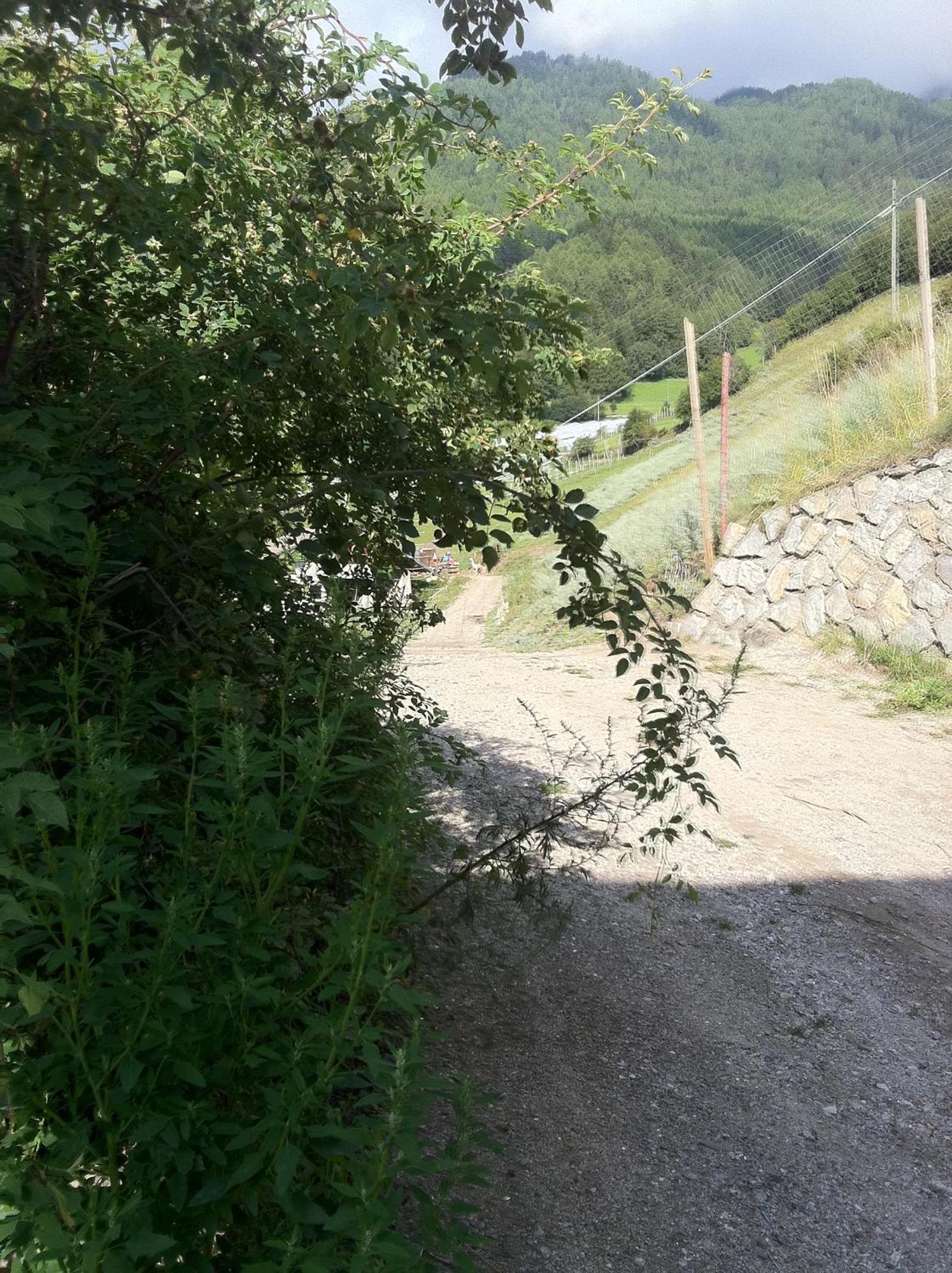 Flurahof Διαμέρισμα Martello Εξωτερικό φωτογραφία